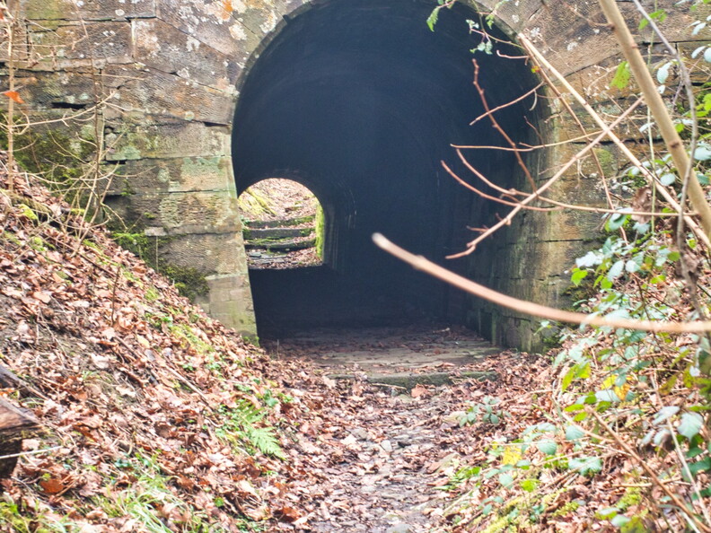 20220123160555-0fa4c6ec